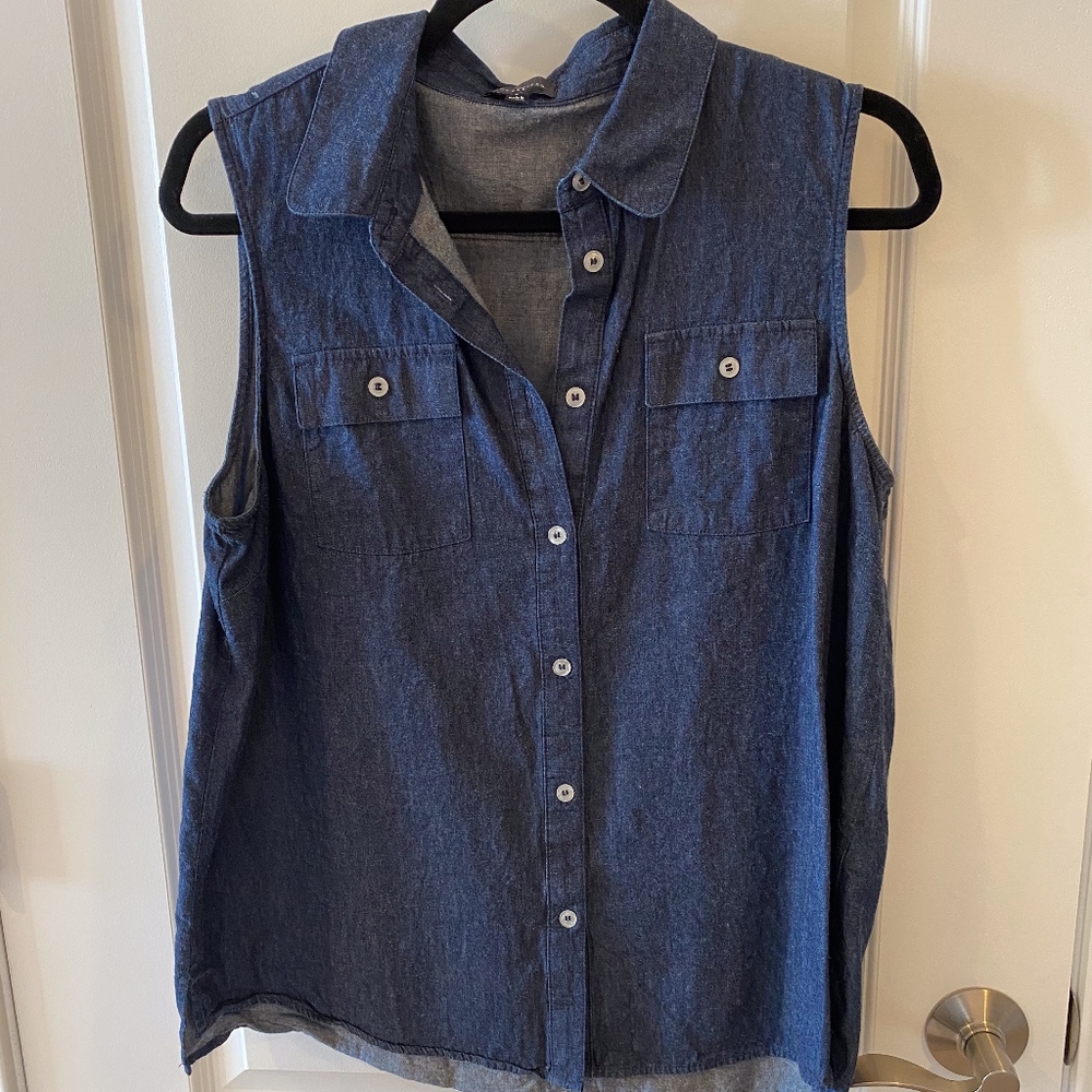 The Limited Denim Collared Top